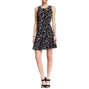 Diane Von Furstenberg Garden Daisy Clara Black and White mini Dress Size…